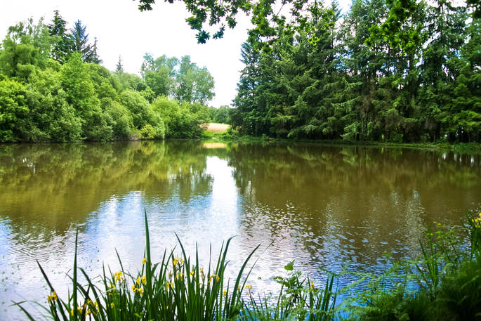Your own private lake at GoGreen Roulette shepherd's hut in Dordogne, France