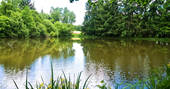 Your own private lake at GoGreen Roulette shepherd's hut in Dordogne, France