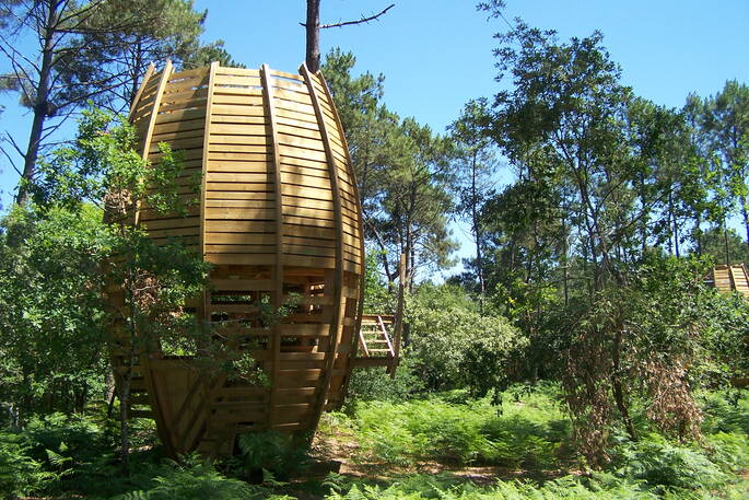 Exterior view of Oak Treehouse, Gironde