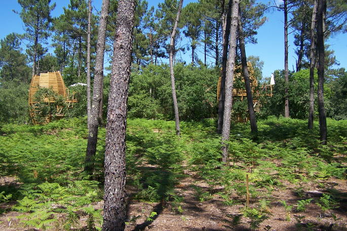 Cabins in the trees at River Treehouse, Gironde