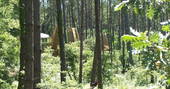 Cabins in the trees at River Treehouse, Gironde