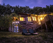 Layénie Under The Stars