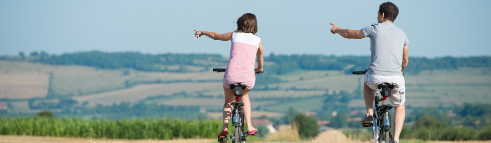 domaine estate image