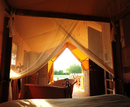 Faru Safari Tent
