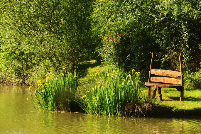 kimaro farmhouse lake 