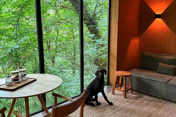 Interior - dog welcome