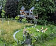 Castél de l’Arbre