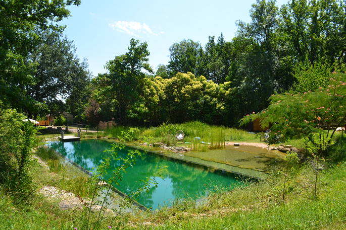View of the outdoor shared swimming pool at Le Camp in France 