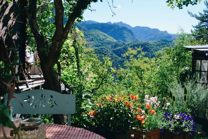 Mountain views