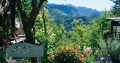 Mountain views