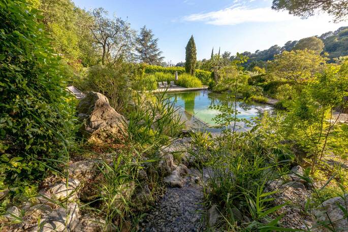 Pool view from Bagheera
