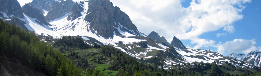 Snowgums Estate image