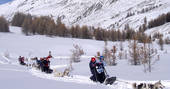 husky sledging france snowgums