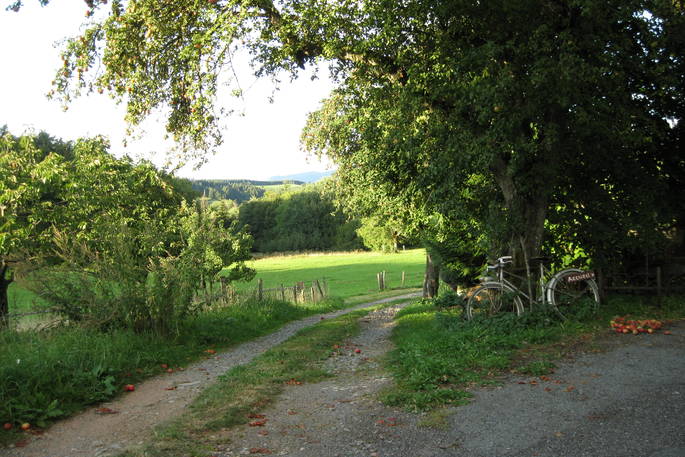 Scenery at The Seven Seasons, Tower in Rhône