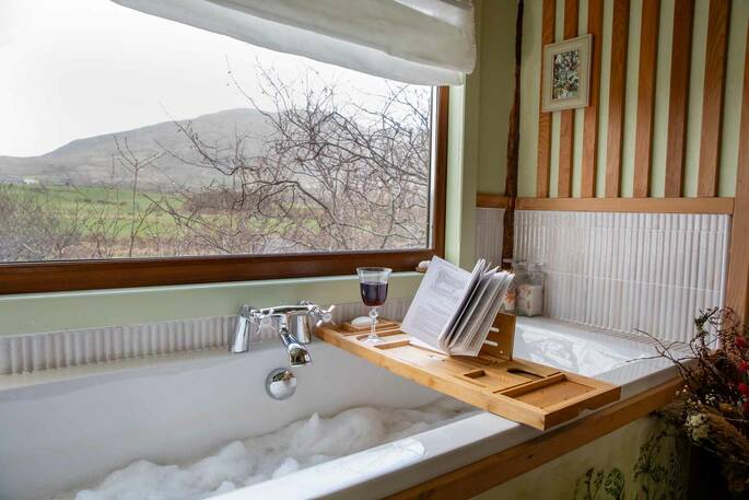 Bath tub with a view