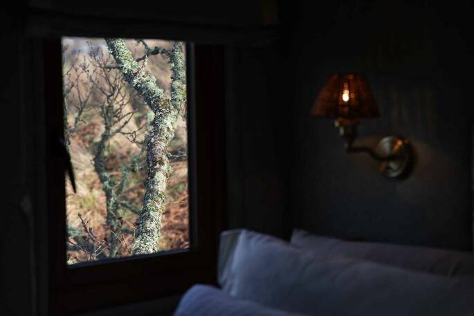 Front exterior of the treehouse