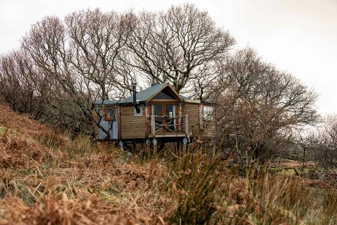 The Oak Treehouse at Boheh (1)