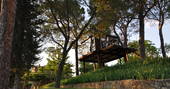casa barthel treehouse