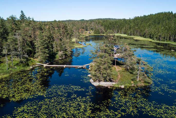 Aerial view of Treetop Fiddan on the island in the middle of the lake in Norway