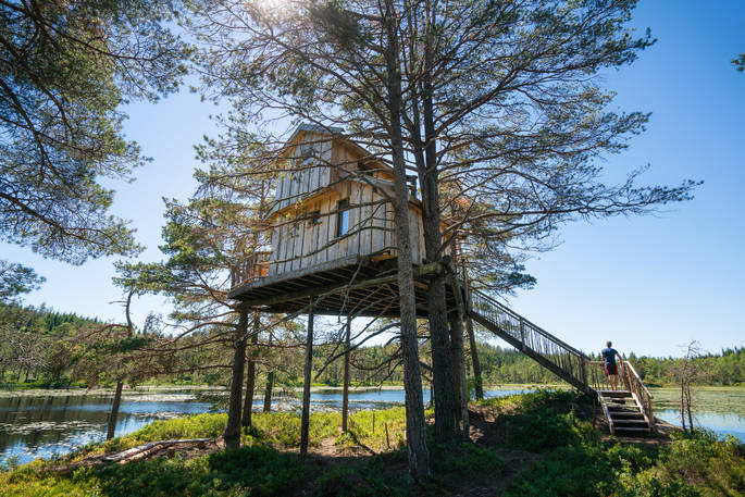 Exterior view of the tree house in the sun located on a platform between 3 old pine trees in Norway