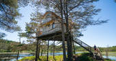 Exterior view of the tree house in the sun located on a platform between 3 old pine trees in Norway