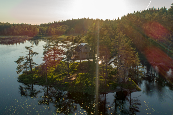 Treetop fiddan tree house in the stunning sunshine of Norway 
