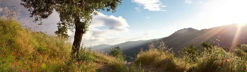 Sunlight over mountains