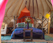 Apple Tree Yurt