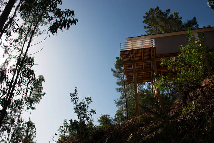 Looking up to Cidreira and your treetop bedroom elevated high up on stilts in the tree canopy at Paraiso Escondido in Alentejo