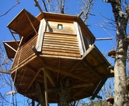 Walnut Treehouse