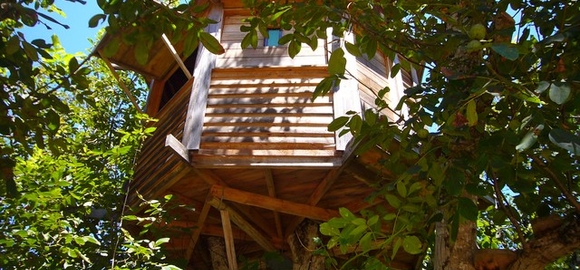 Exterior view of Walnut Treehouse, Baixo Alentejo