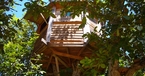 Exterior view of Walnut Treehouse, Baixo Alentejo