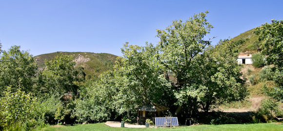 Site at Walnut Treehouse, Baixo Alentejo