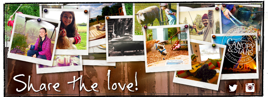 Share the Love on Instagram