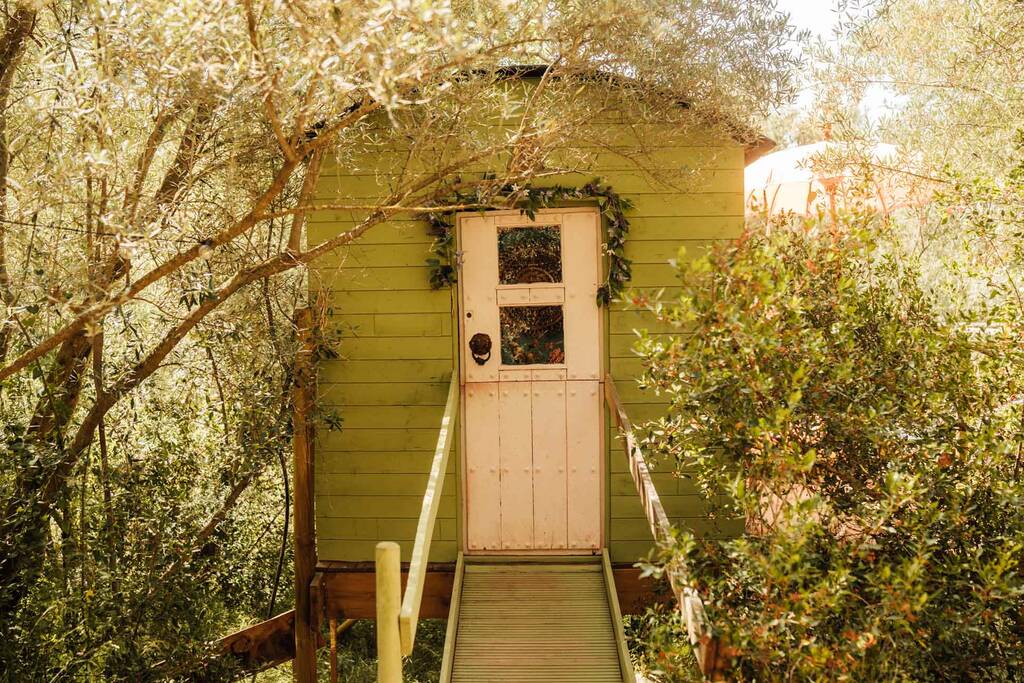 Alora Treehouse | Treehouse in Málaga | Canopy & Stars