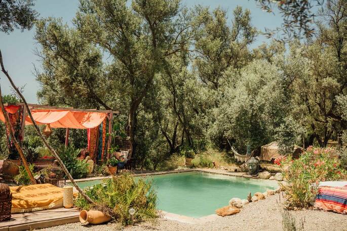 Yurt Pomegranate (14)