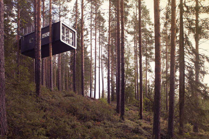 the cabin at treehotel
