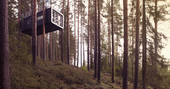 the cabin at treehotel