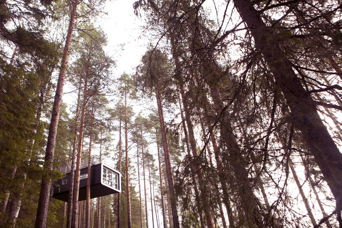 the cabin at treehotel