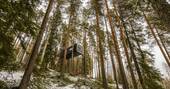 Treehotel A7Rii April 2016-155