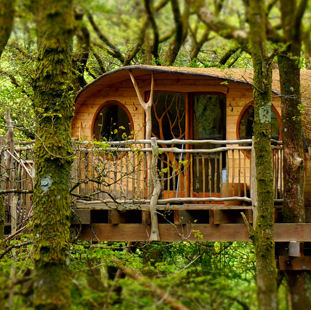 wild-conservation-col-desktop