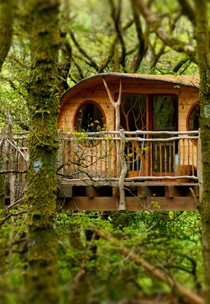 wild-conservation-col-tablet