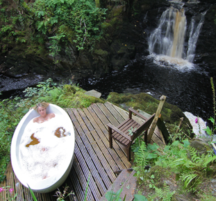 wild-life-col-desktop