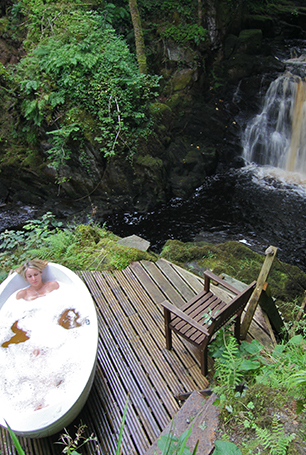 wild-life-col-tablet