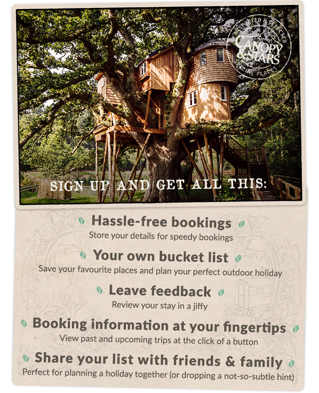 C&S Sin up desktop ad