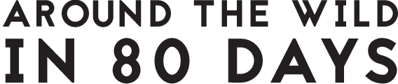 Around the wild in 80 days