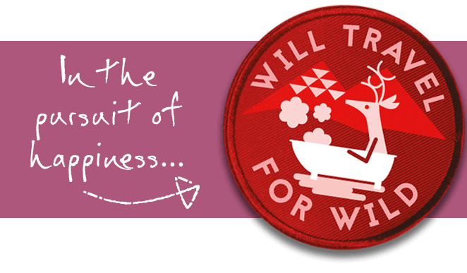 In the pursuit of happiness...