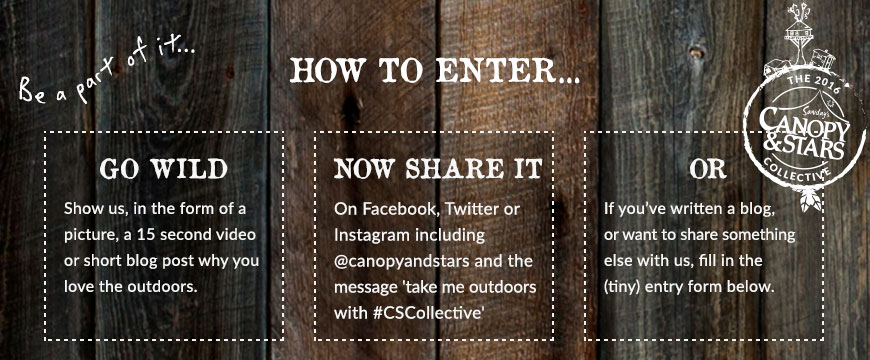 CSCollective_competition_page_entry_details_160408