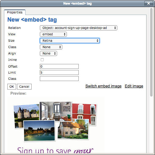embed-tag-example