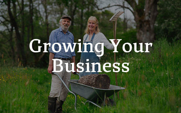 Canopy and Stars for owners - Growing Your Business